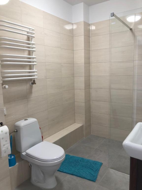 łazienka z toaletą, prysznicem i umywalką w obiekcie Apartament W KWIATKI:) Pogorzelica w Pogorzelicy
