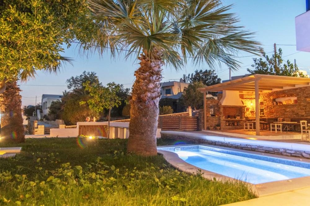 a swimming pool with a palm tree next to a house at Porto Bello Tinos in Agios Ioannis
