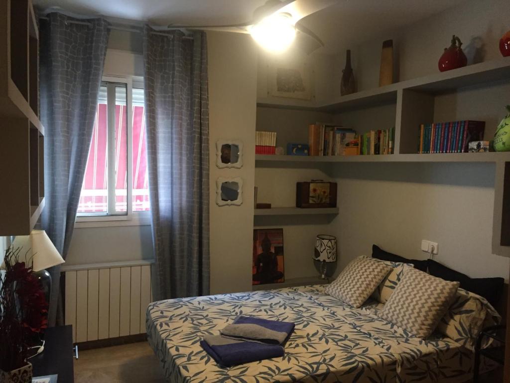 1 dormitorio con 1 cama, ventana y estanterías en Habitaciones Dulces Sueños, en Córdoba