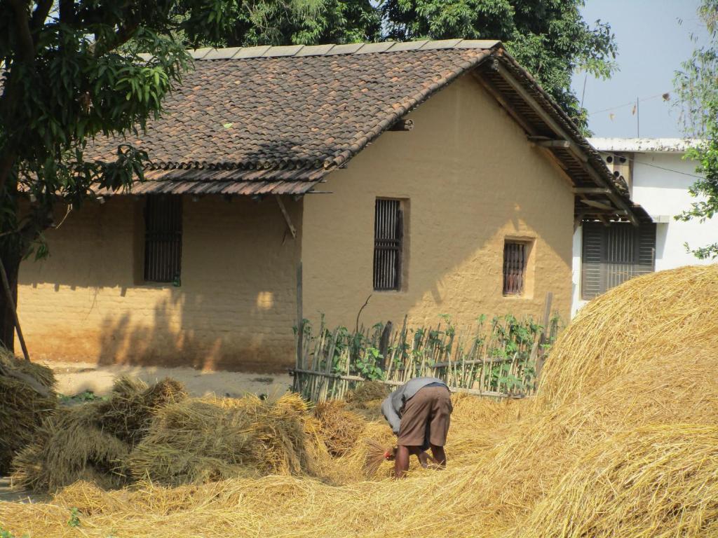 Fotografie z fotogalerie ubytování Bardiya Community Homestay v destinaci Bardiyā