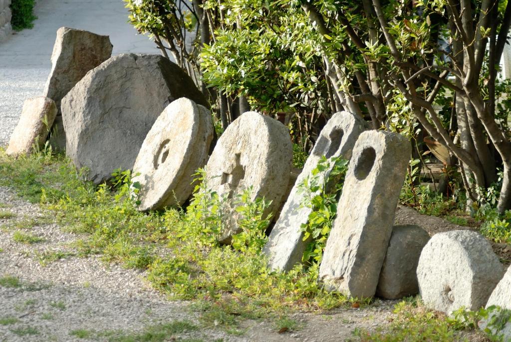 Fotografie z fotogalerie ubytování Hotel Agave e Ginestra v destinaci Ventotene