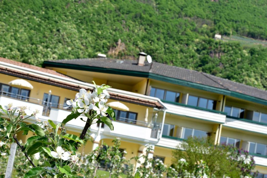 Nespecifikovaný výhled na hory nebo výhled na hory při pohledu z hotelu