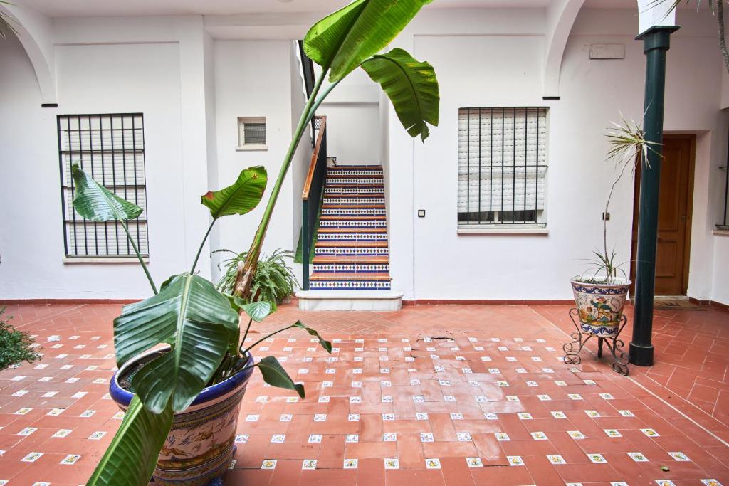 Kép Pureza Oasis Suite szállásáról Sevillában a galériában