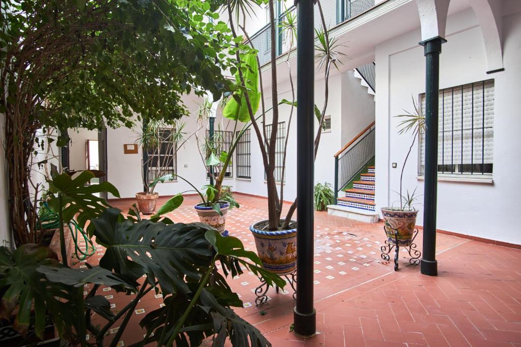 A garden outside Pureza Oasis Suite