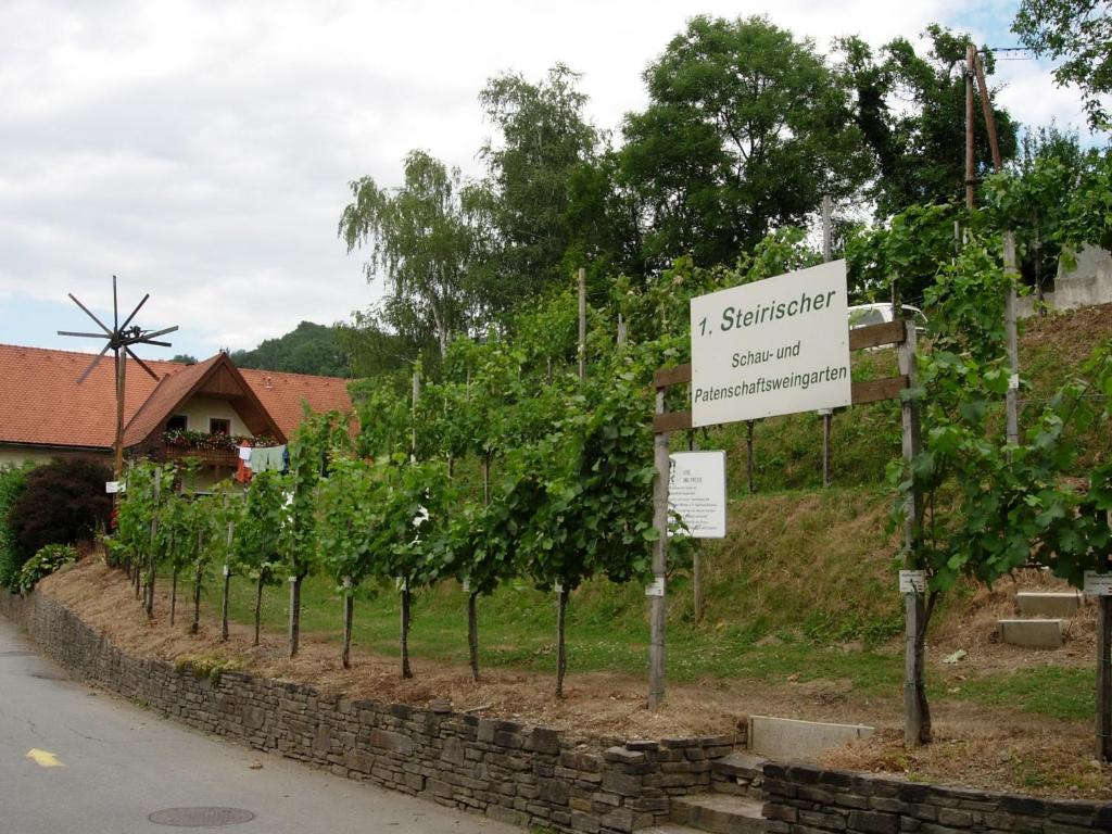Foto sihtkohas Kitzeck im Sausal asuva majutusasutuse Weingut Schlafgut Genussgut Lorenz galeriist