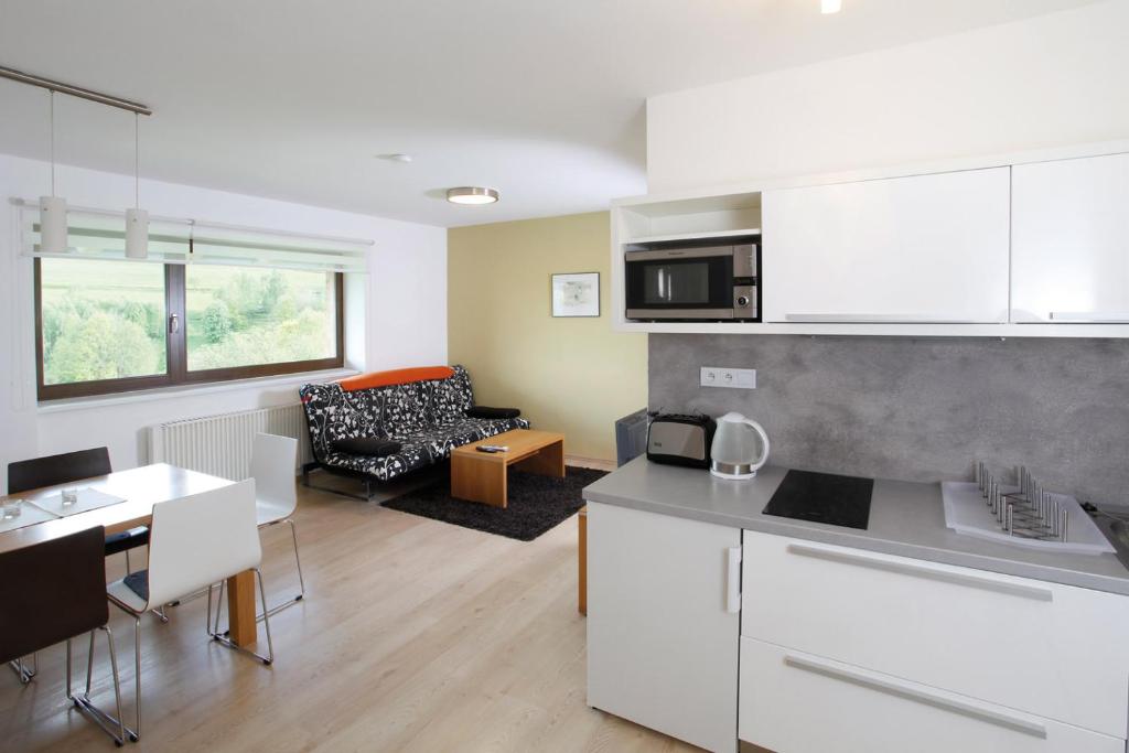 Kuchyň nebo kuchyňský kout v ubytování Apartmán Stará škola