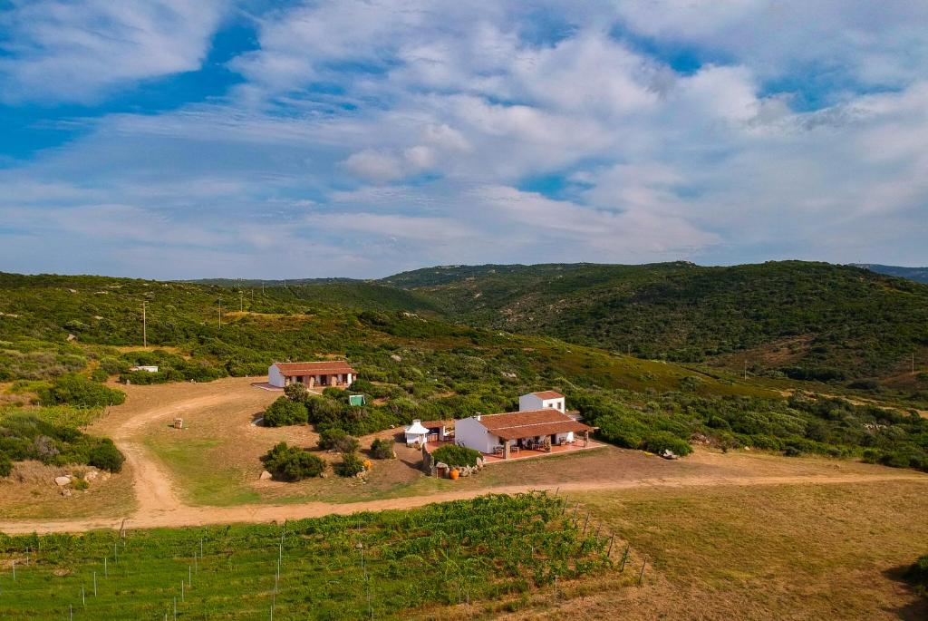 Příroda nedaleko farmy