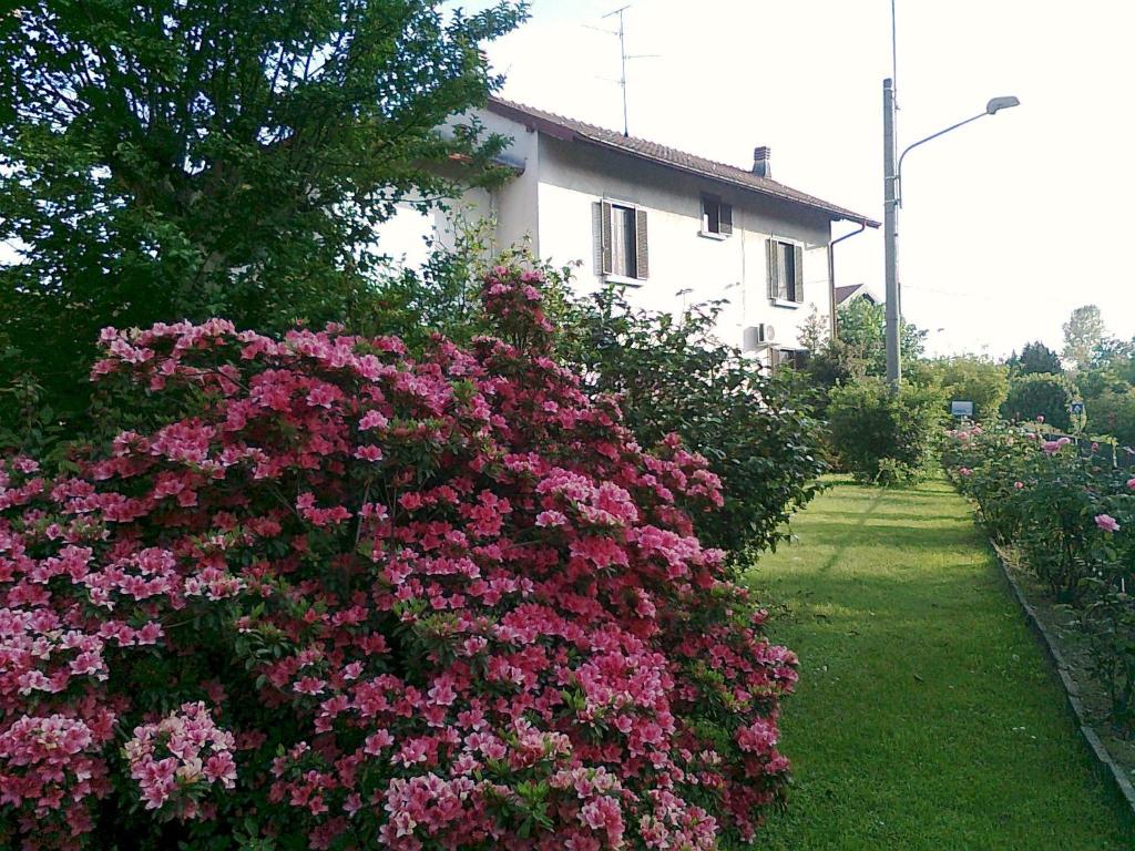 a bush of pink flowers in front of a house at B&B dei Laghi in Brebbia