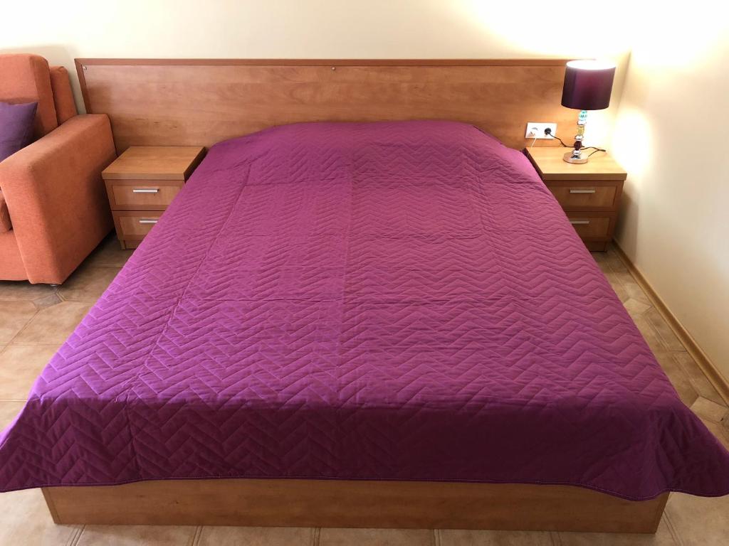 サニービーチにあるCentral Plaza Studioのソファ付きの客室内の大きな紫色のベッド1台