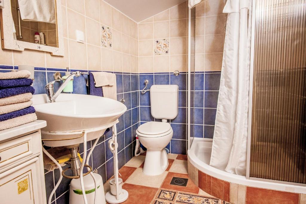 a bathroom with a toilet and a sink and a shower at Country house with a pool in Medvednica Nature Park in Zagreb