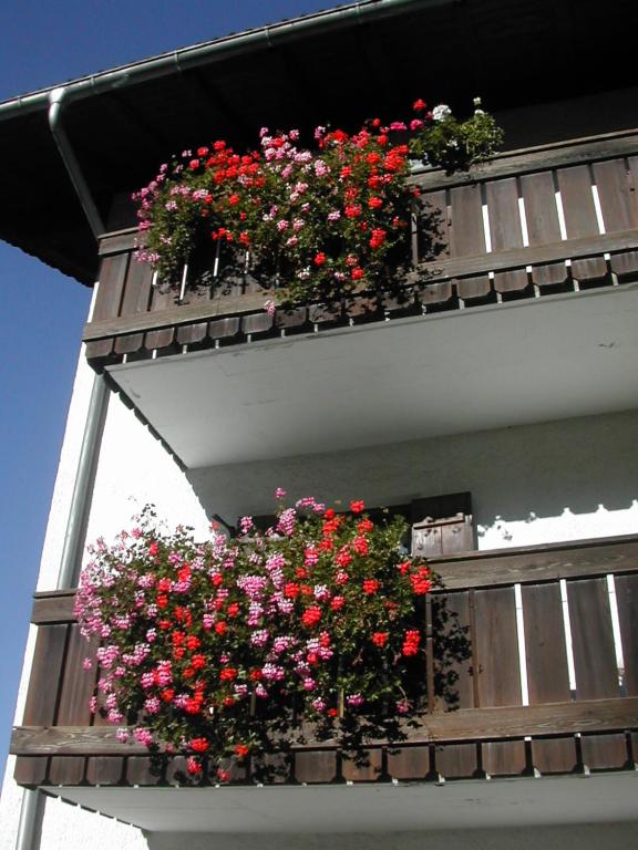 Balkón nebo terasa v ubytování SAN PIETRO DOLOMITI Small Budget Hotel