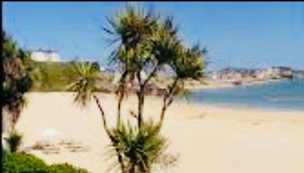 a view of a beach with palm trees and the ocean at 11 longstone house in Carbis Bay