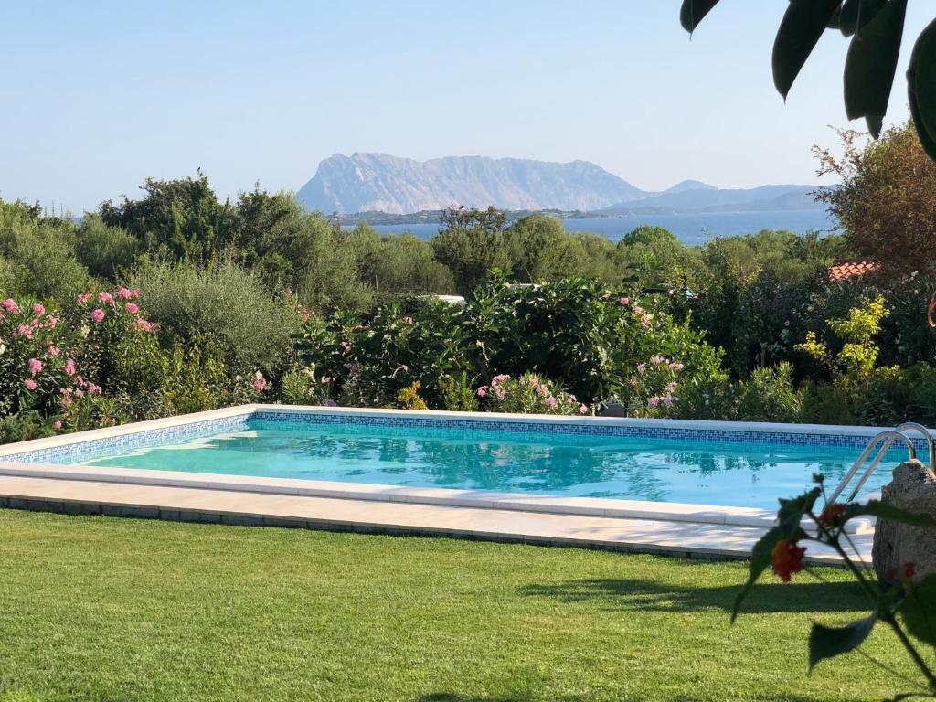 Piscina di Villa Tavolara -Private Pool, to the beach on foot, sea view, all inclusive o nelle vicinanze