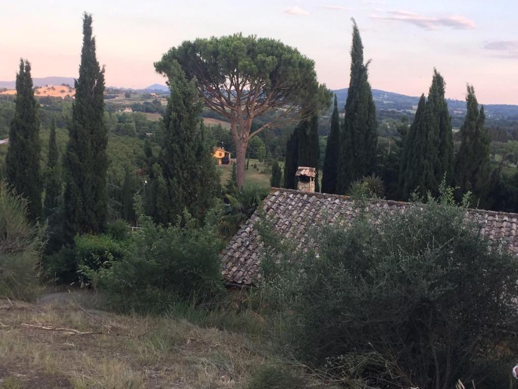 Casale Sant'Elia