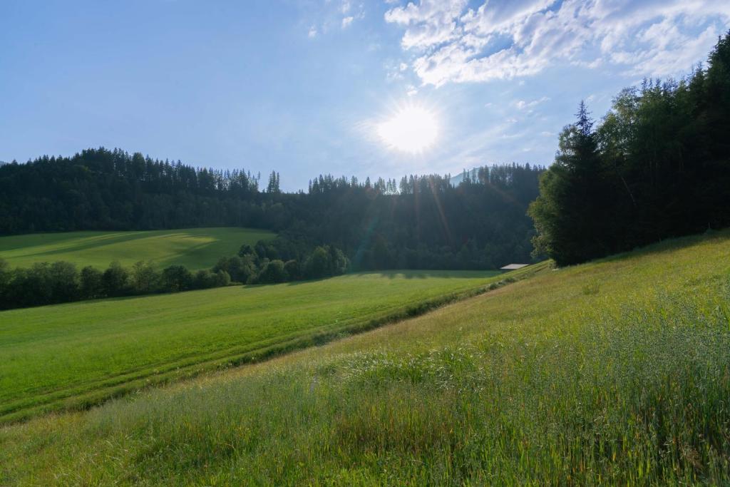 Príroda v okolí dovolenkového domu