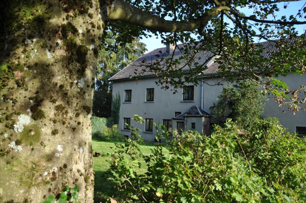 バストーニュにあるSanta Fe - Lutreboisの大白木の畑家