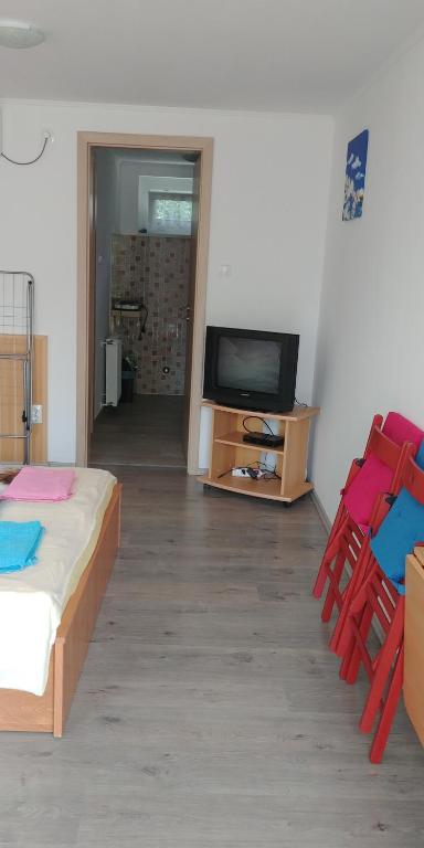 TV a/nebo společenská místnost v ubytování Siesta Üdülő