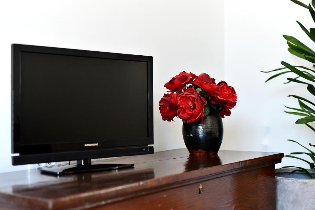 TV a/nebo společenská místnost v ubytování Apartman Hertz