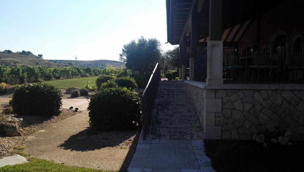 Příroda nedaleko hotelu