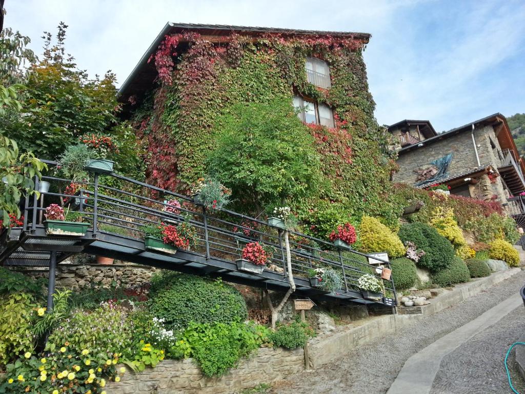 a building covered in ivy with flowers and plants at Cal Serni in Calbinyà