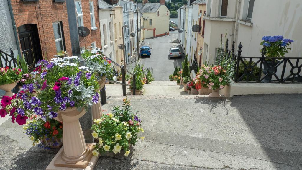 a group of flowers in vases on a city street at Danny’s Place in Derry Londonderry
