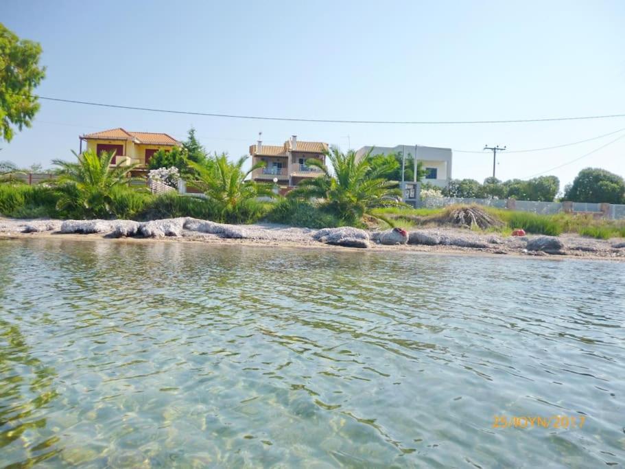 a body of water with houses in the background at Kalliopi Apartments in Egina