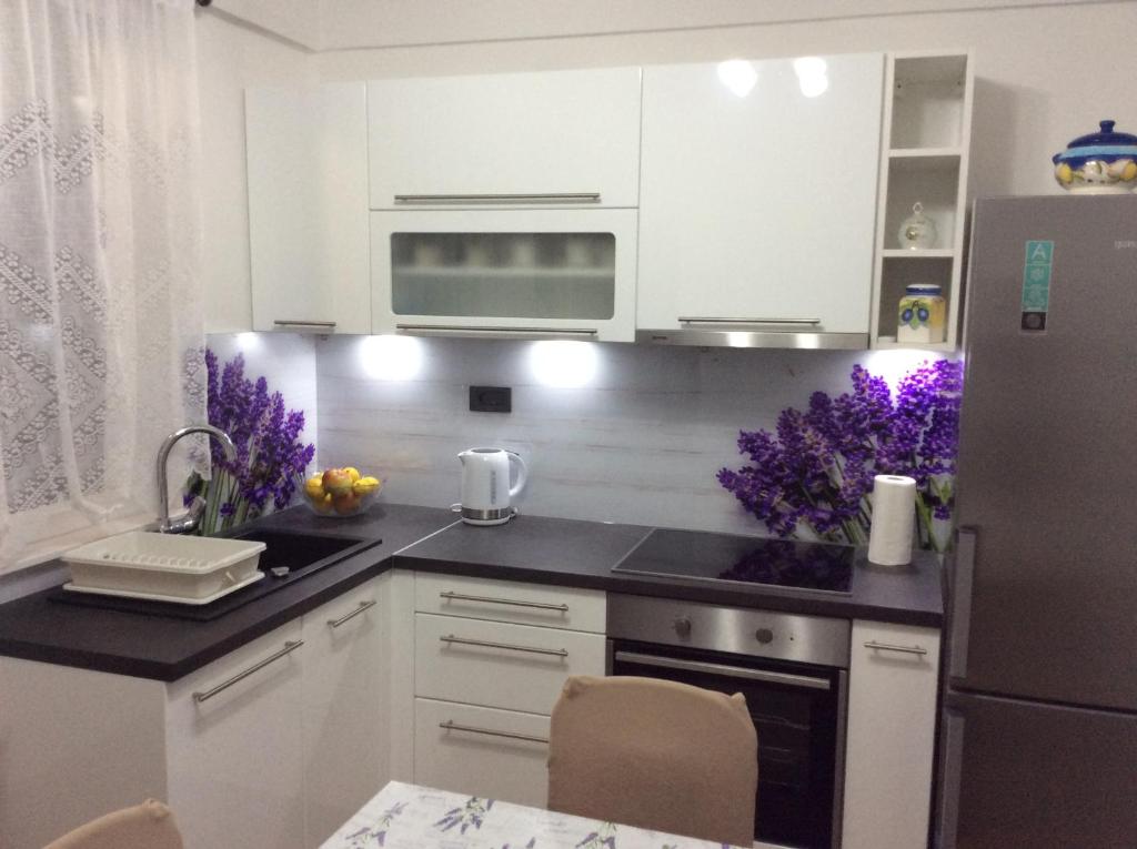 Kuchyň nebo kuchyňský kout v ubytování Apartment Karla SNB