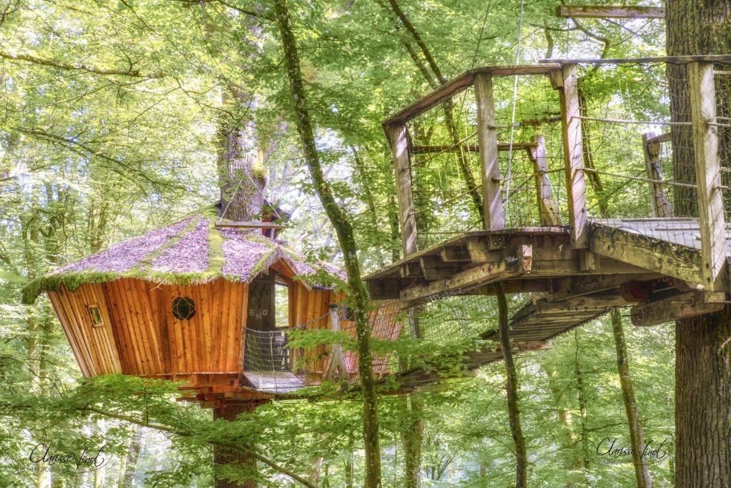 a tree house in the middle of the forest at L'Arbre à Cabane in Guyonvelle