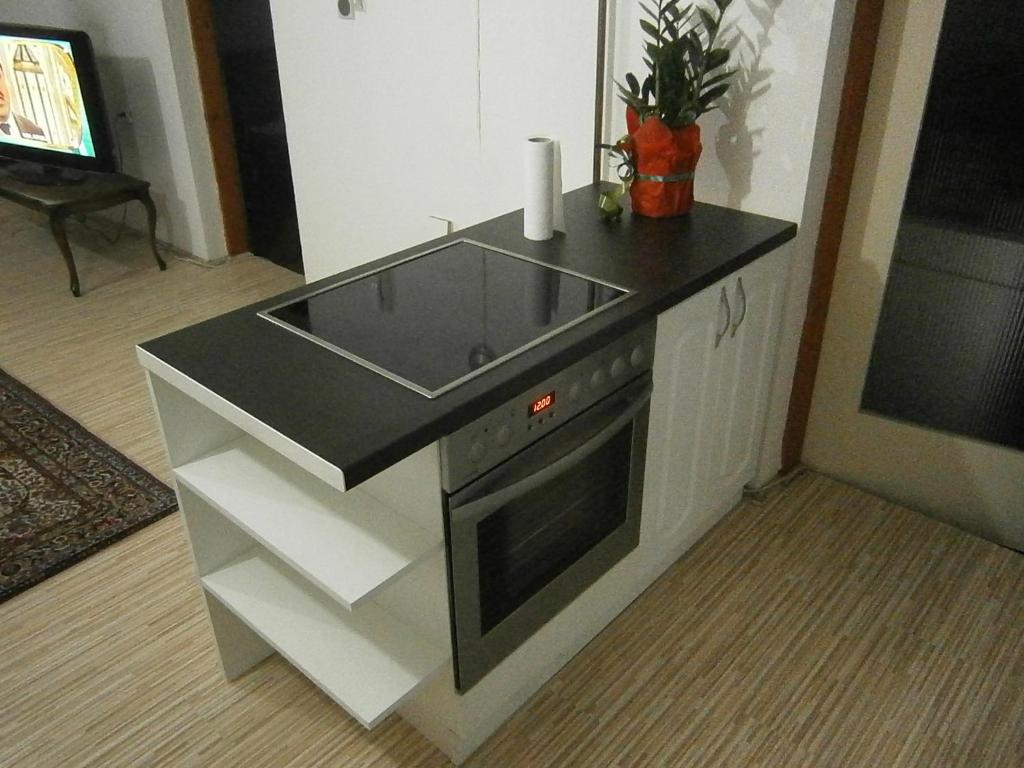 a kitchen with a sink and a stove at Cumurija Bridge Accommodation in Sarajevo