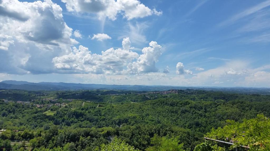 an overhead view of a forest under a cloudy sky at la punta dei crociati in Parodi Ligure
