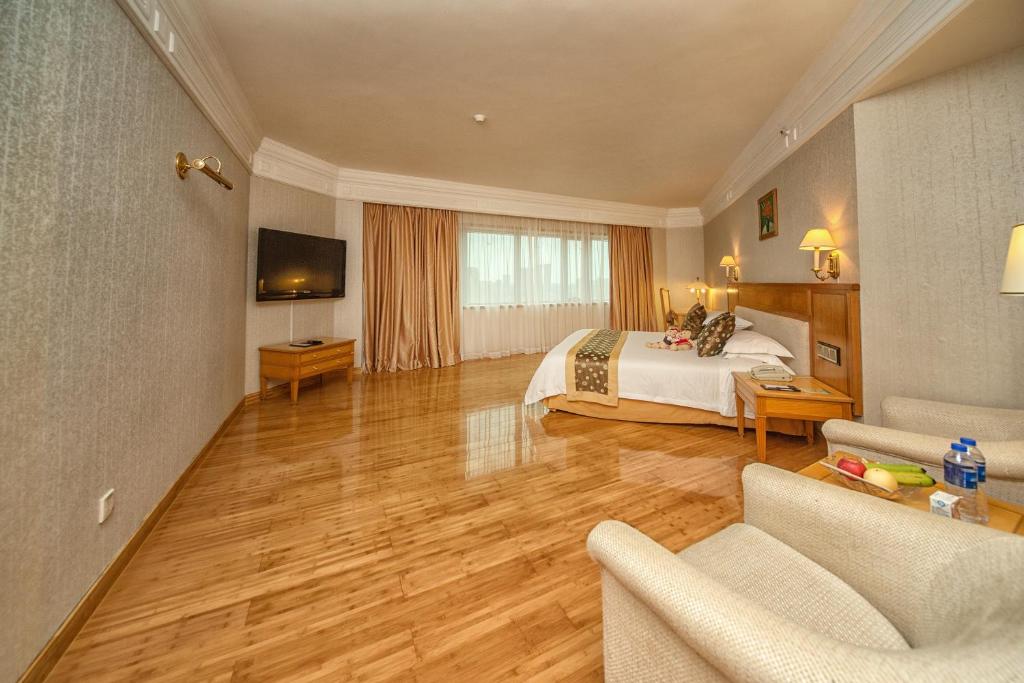 TV a/nebo společenská místnost v ubytování Hotel Silverland