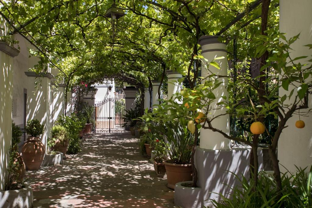 Zahrada ubytování Elisir B&B