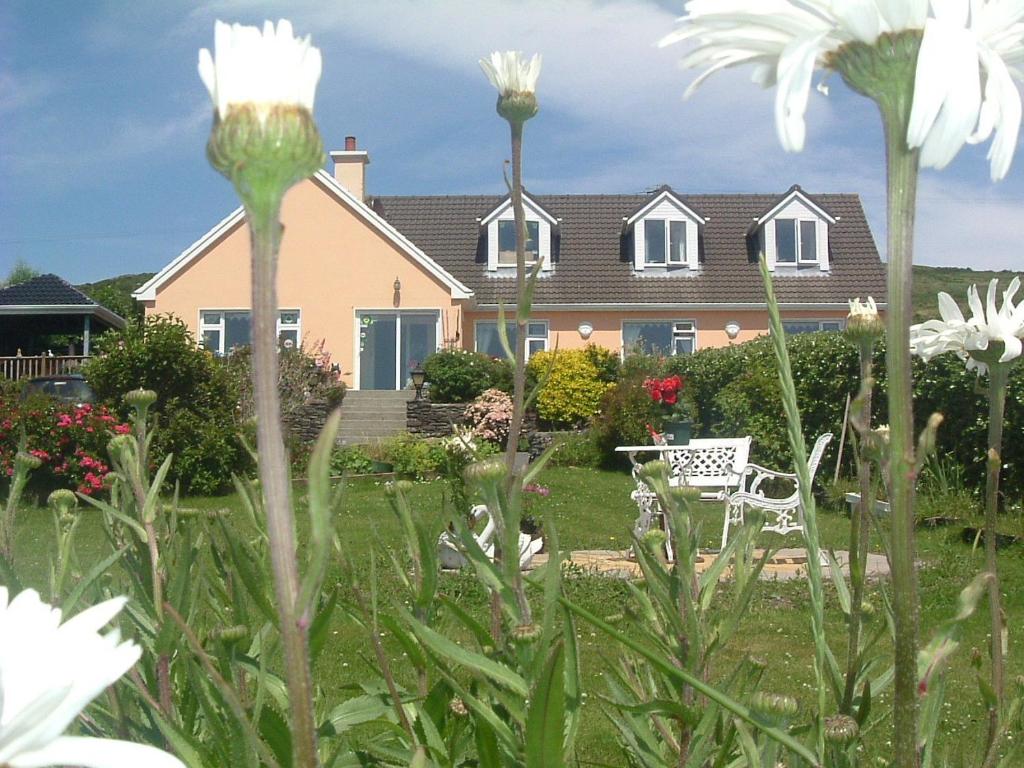 une maison avec une cour dotée d'une chaise blanche et de fleurs dans l'établissement The Plough B&B, à Ventry