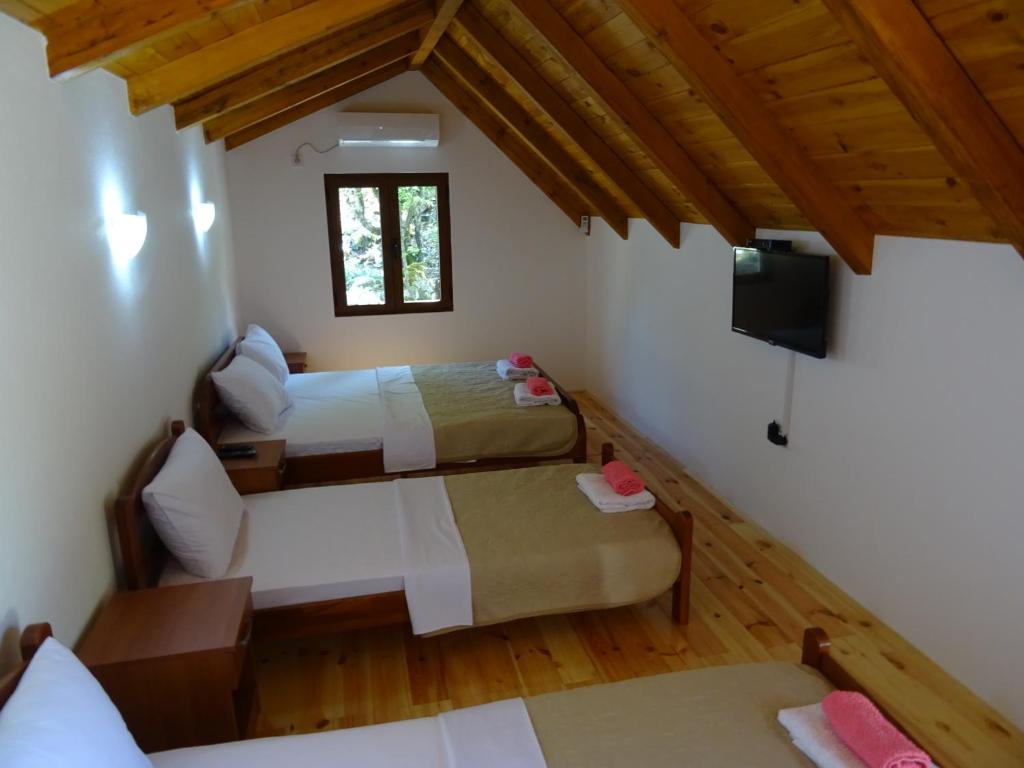 Apartmani Vinici - 1