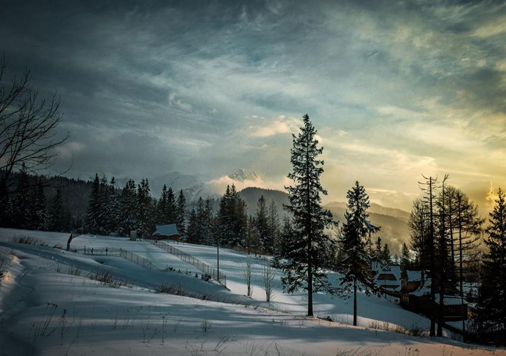 ein schneebedecktes Feld mit Bäumen und einem wolkigen Himmel in der Unterkunft Apartamenty Toporowa Cyrhla in Zakopane