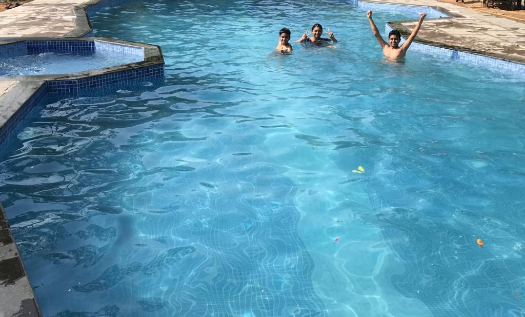 Tres personas nadando en una piscina en Baaz Jungle Resort, en Khawāsa