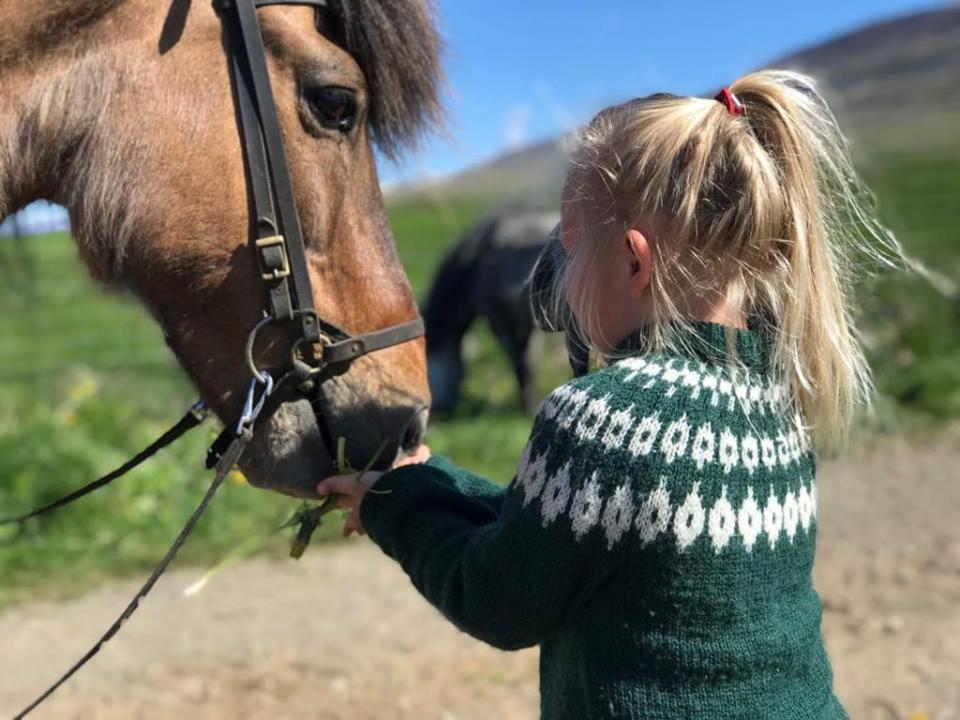 a woman in a green sweater petting a horse at Syðra-Skörðugil Guesthouse in Varmahlid