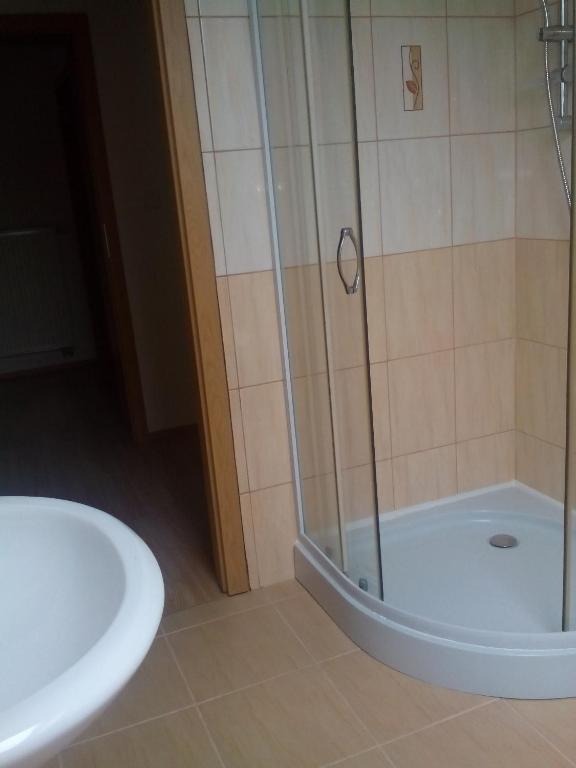 Łazienka w obiekcie U nových přátel
