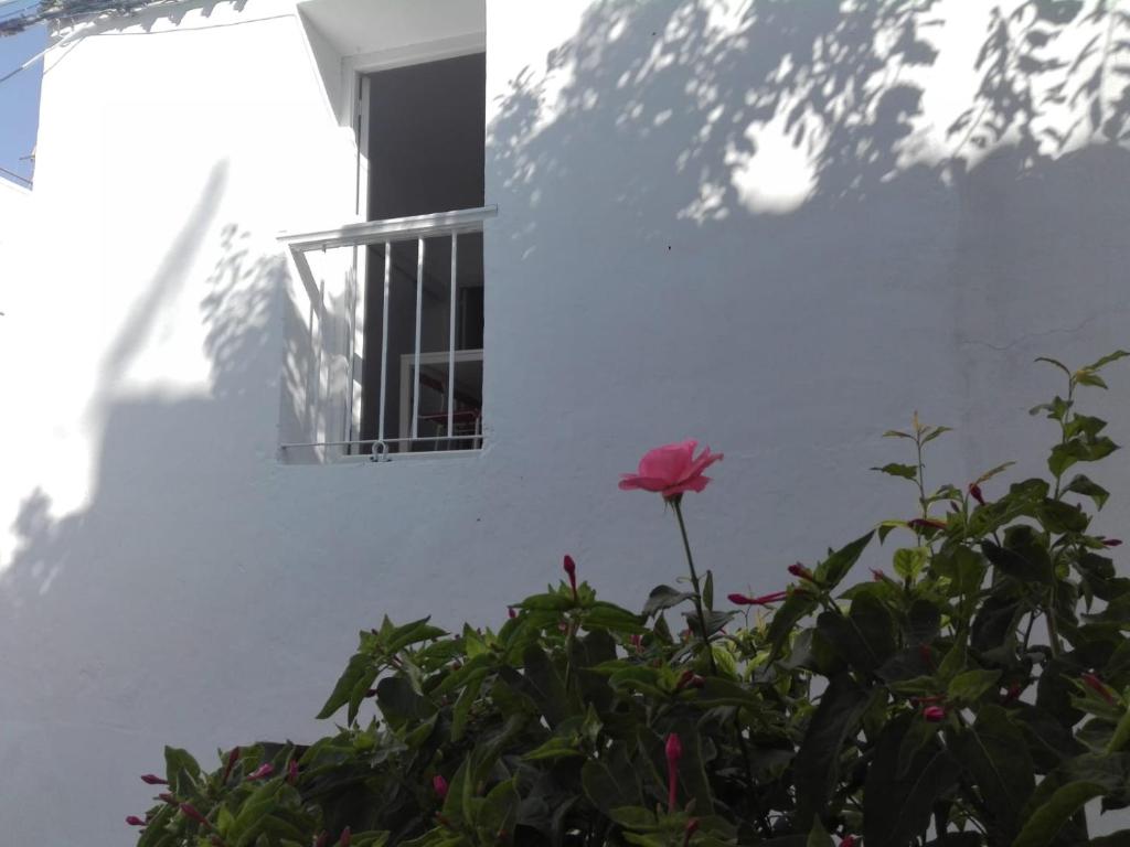Vonkajšia záhrada v ubytovaní Casa Patio Paraíso