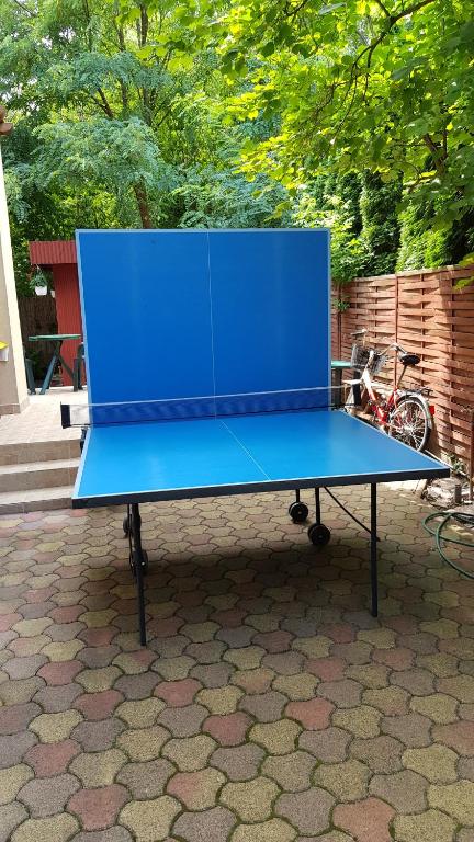 Stolní tenis v ubytování Mészöly Vendégház nebo okolí