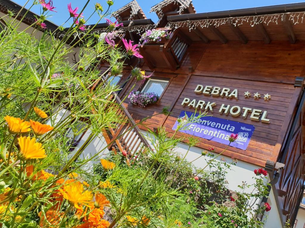 Zahrada ubytování Debra Park Hotel