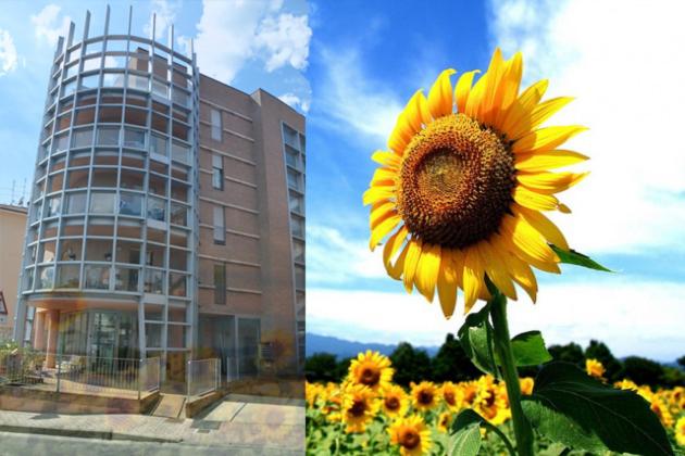 a sunflower is in front of a building at Casa dei girasoli in Perugia