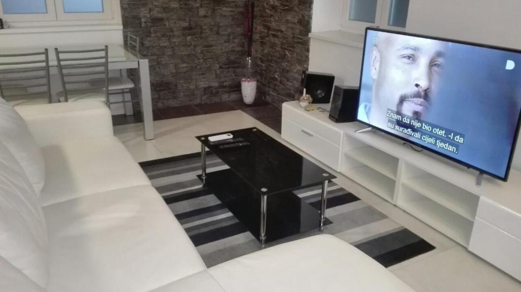 Televízia a/alebo spoločenská miestnosť v ubytovaní Apartment Osk