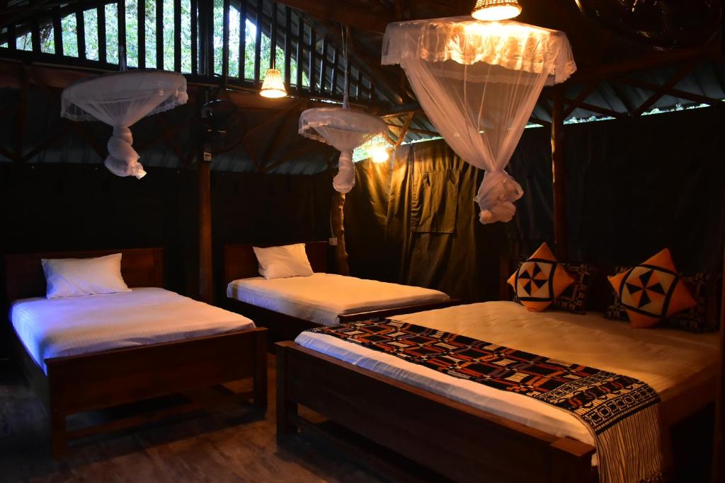 a room with two beds in a tent with curtains at Lizard Safari Lodge in Udawalawe