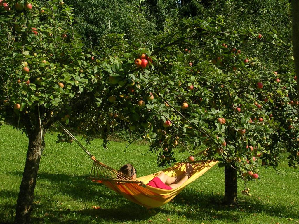 Zahrada ubytování Sonnenhaus Grandl