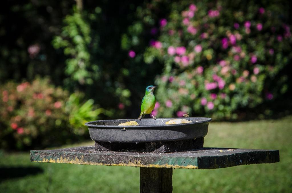  Rancho do Pavão Charmoso Chalé