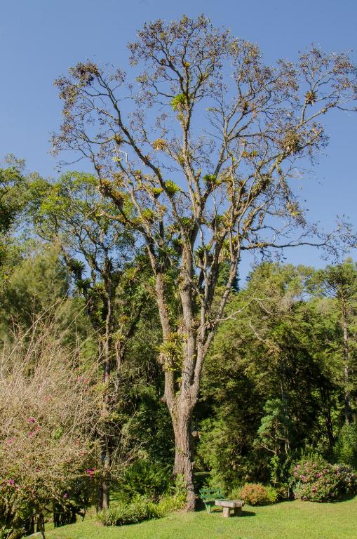  Rancho do Pavão Charmoso Chalé