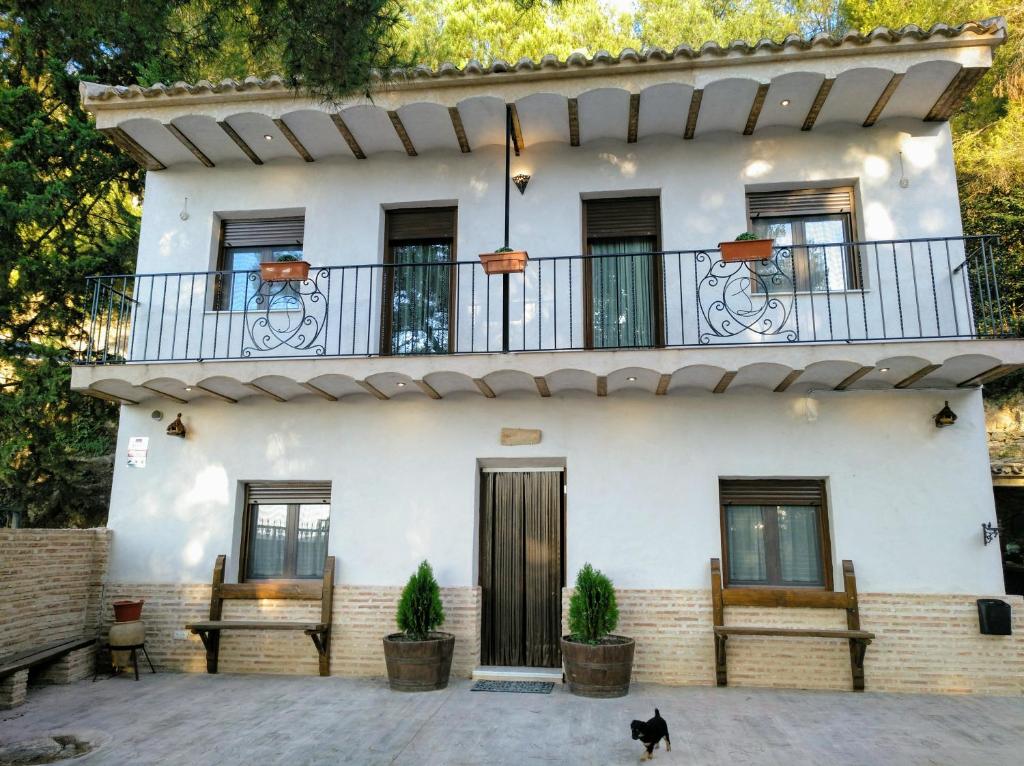 a house with a black cat in front of it at Casa Rivera Río Jucar in Valdeganga