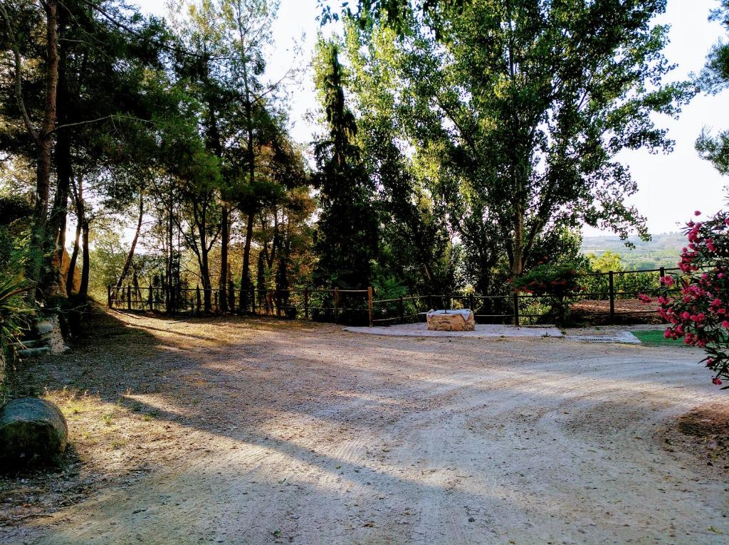 Príroda v okolí of the country house