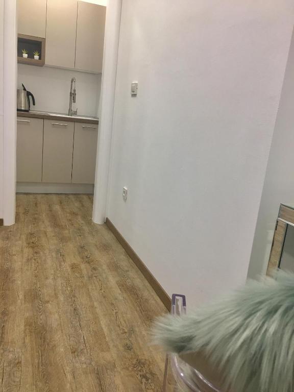 Kuchyň nebo kuchyňský kout v ubytování Maja Apartment